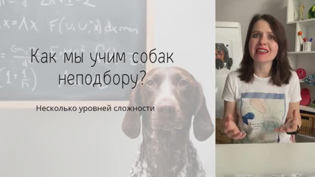 0 этап Как мы учим собак неподбору