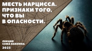 МЕСТЬ НАРЦИССА. ПРИЗНАКИ ТОГО, ЧТО ВЫ В ОПАСНОСТИ.