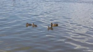 Озеро Малый Иван