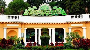 сочи, дендрарий, дендрарий сочи, сочи онлайн, сочи сегодня, сочи официальный сайт, парк дендрарий,