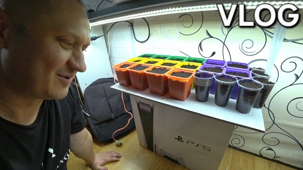 VLOG' СВЕРХ ОСТРЫЕ ПЕРЦЫ | НОВЫЙ СЕЗОН 2026 ГОДА