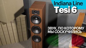 Indiana Line Tesi 6 — чрезвычайно мелодичные итальянские колонки, доступные многим.