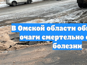 В Омской области обнаружены очаги смертельно опасной болезни