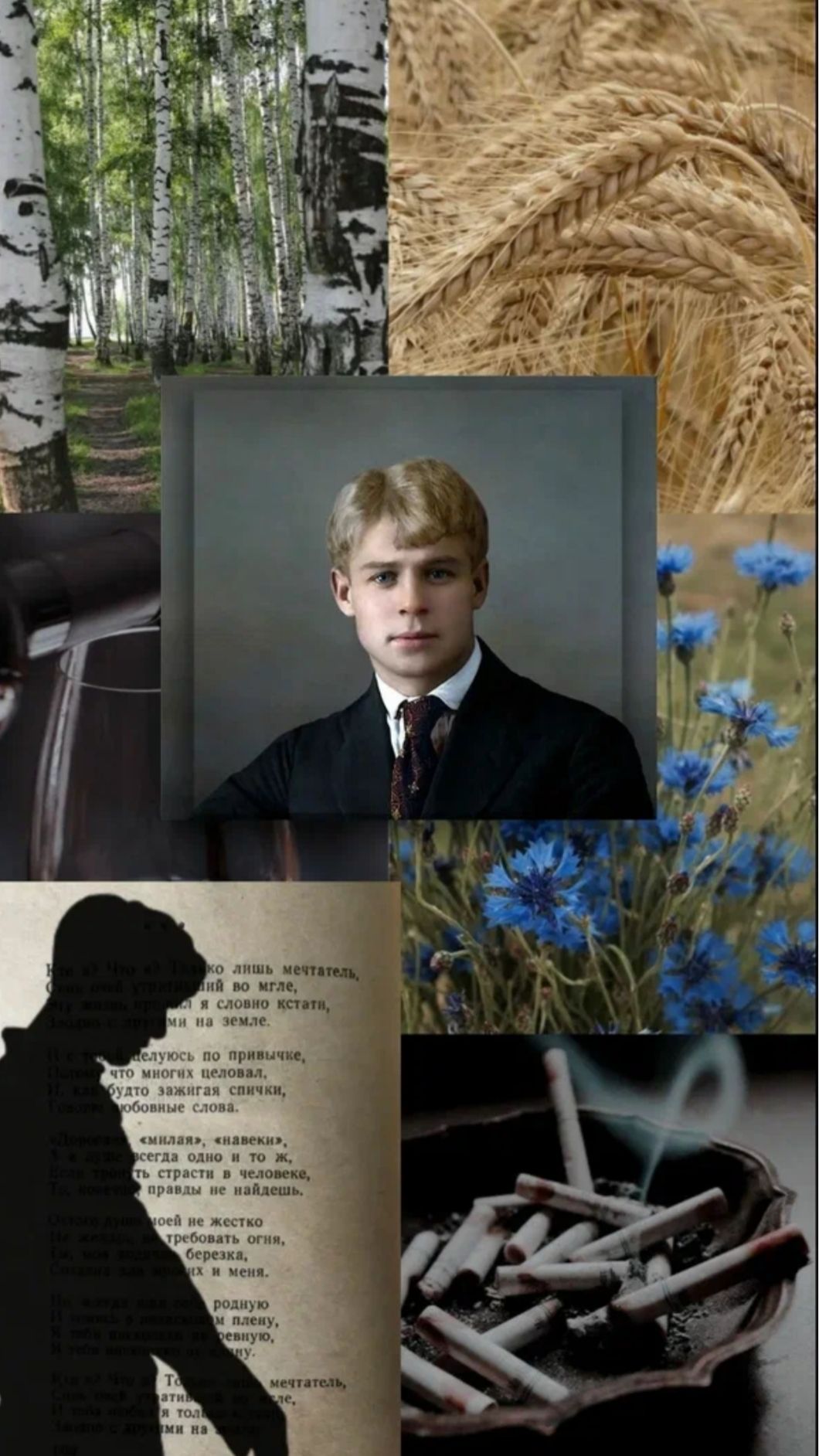 Белая берёза