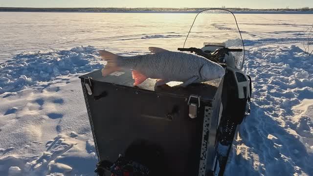 Проверка удочек. 44 день. смотреть онлайн