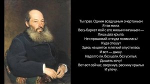 Песня 2026 Бабочка - Афанасий Фет