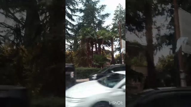 На автобусе из Пицунды в Адлер