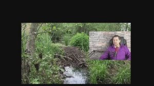 Вечера с Карелиным. Выпуск 19