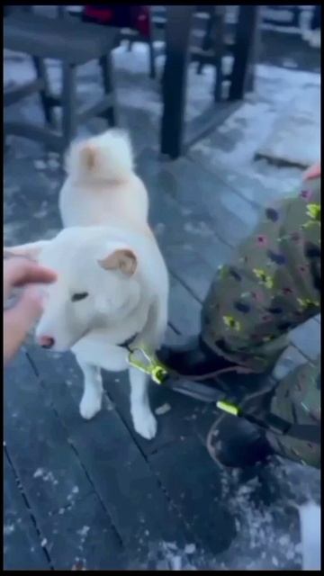 Прыгать в прорубь не пойду, не уговаривай! смотреть онлайн