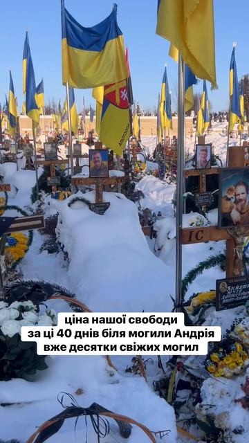 Денацификация