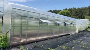 Исполнение мечты садовода. Теплицы с полками