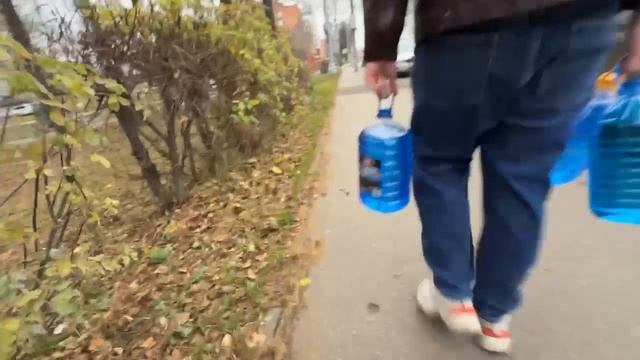 Новости "Волга 24" 13.11.2025 11:00