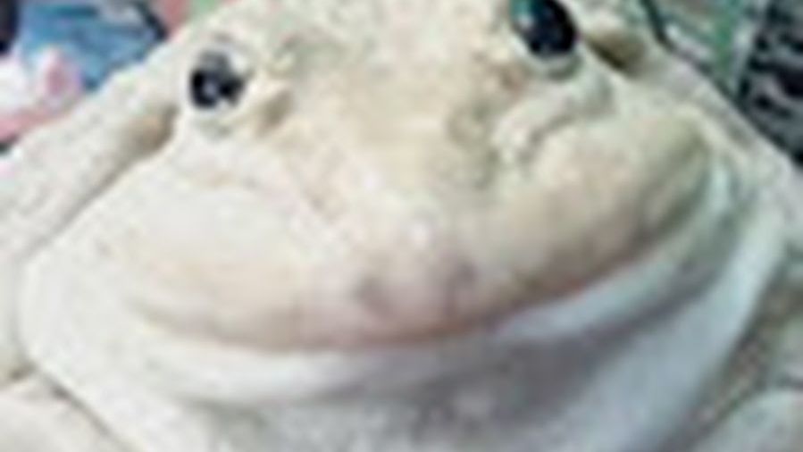 Тгк: ROYZ #makeup #косметика #макияж #мейкап #молодость смотреть онлайн