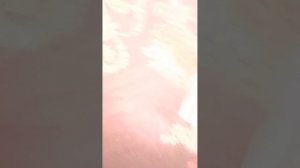 меня булили в школе класс 2-А