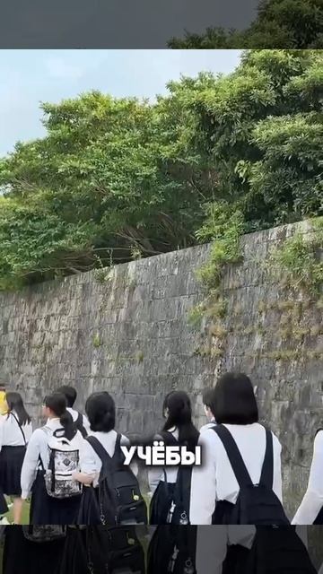 Япония открывает двери для иностранцев — доступно 1,2 млн вакансий смотреть онлайн