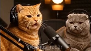 Подкасты с котами. ХОЗЯИН - Базовый минимум или РОСКОШНЫЙ максимум