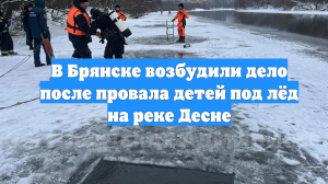 В Брянске возбудили дело после провала детей под лёд на реке Десне