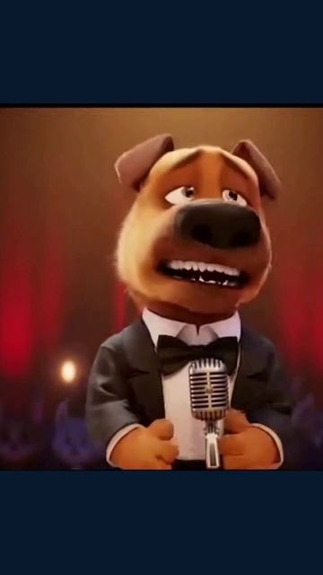 #пес #развлечение #певец #милота #собакапоет #ярусский