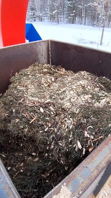 Плоды Экоакселератора