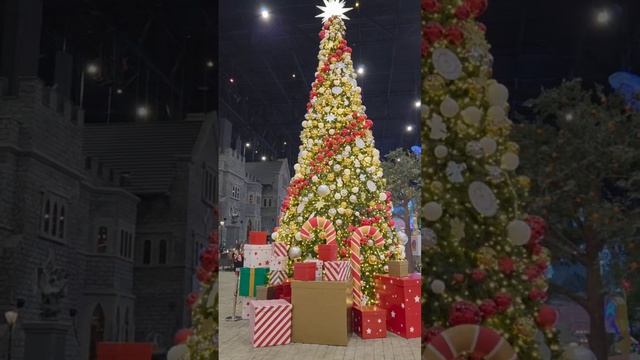 video_2026-01-21_08-59-07 смотреть онлайн