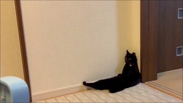 "Что унываешь ты, Душа моя.. Уповай на Бога..!" / Псалом 41:6 смотреть онлайн