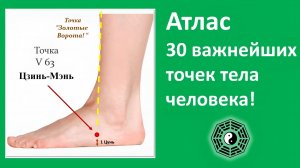 Атлас 30 точек тела (10)