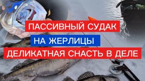 ЛОВЛЯ ПАССИВНОГО СУДАКА на ЖЕРЛИЦЫ! Рыбалка на хищника зимой с деликатной снастью.