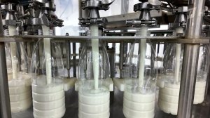 Россия достигла наивысших показателей по производству молока за последние 30 лет.