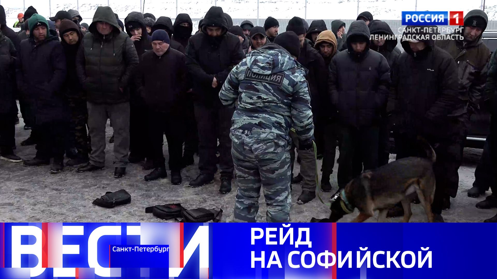 Вести Санкт-Петербург. Выпуск 11.30 от 21.01.2026 смотреть онлайн