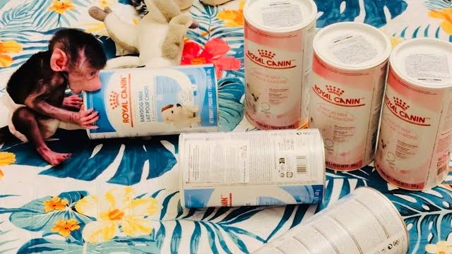 Посмотрите КАКОЙ ПОДАРОК нам прислала наша подписчица Светлана❤️ смотреть онлайн