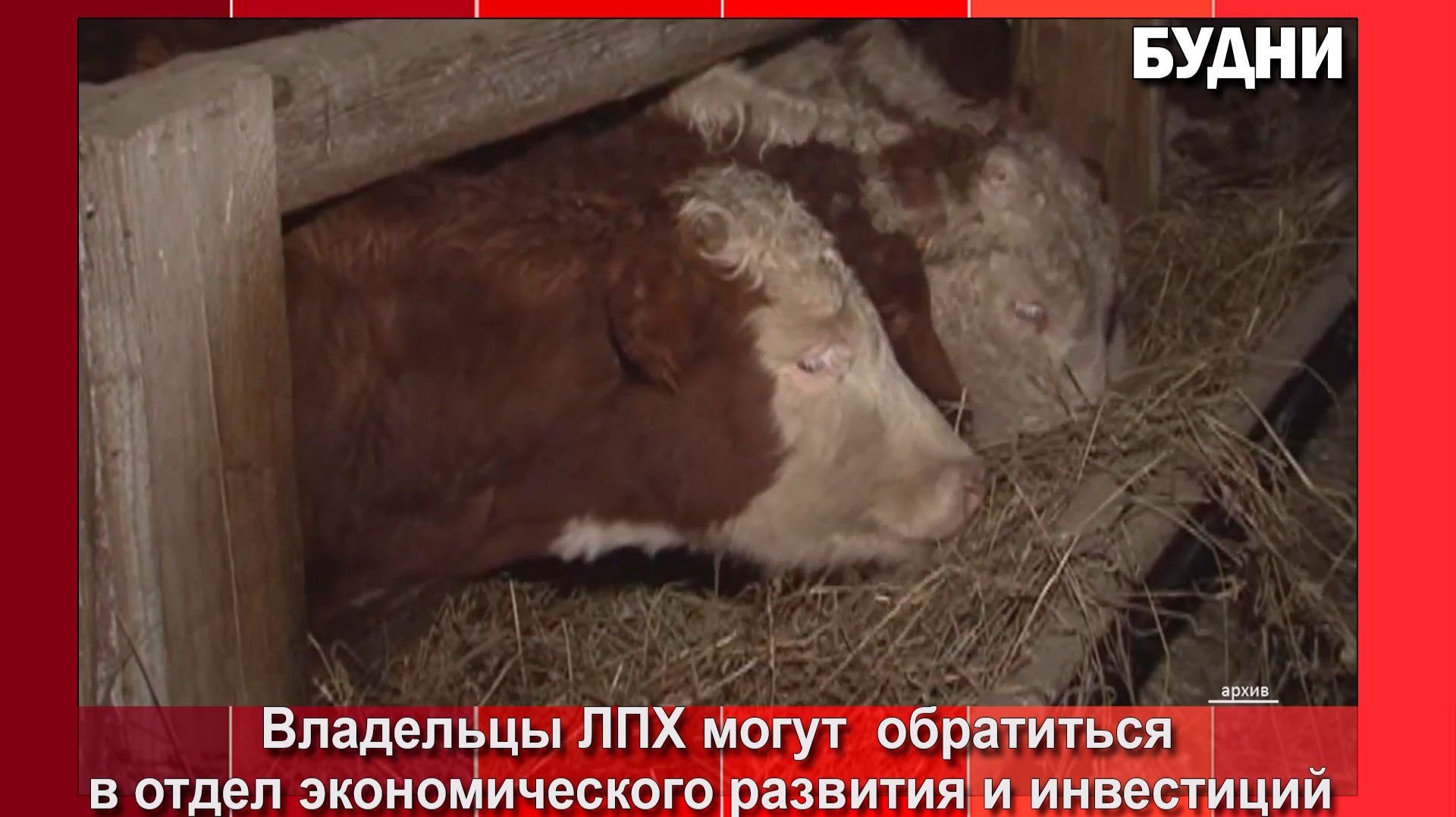 В Белогорске актуализируют данные похозяйственной книги смотреть онлайн