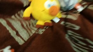 смешная черепаха