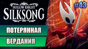 43 Потерянная Вердания // Прохождение Hollow Knight: Silksong