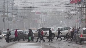 Людмила Амельченко Федору Малышкину.2013г.