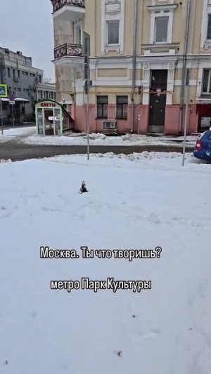 Эту ёлочку на Парке Культуры уже ничего не превзойдет. Видео: alexgeekhead #shorts