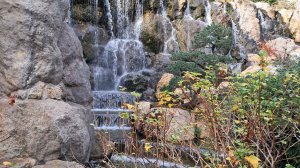 Партенит. Один из лучших парков Крыма парк Айвазовского!