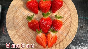 Мяосян‼️ Превосходные вкусовые характеристики