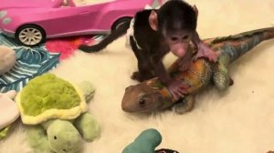 Николь устроила мне ГОНКИ, я еле успеваю от нее убегать😘