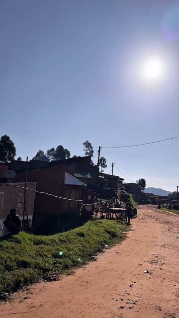 Горилла трекинг в Уганде