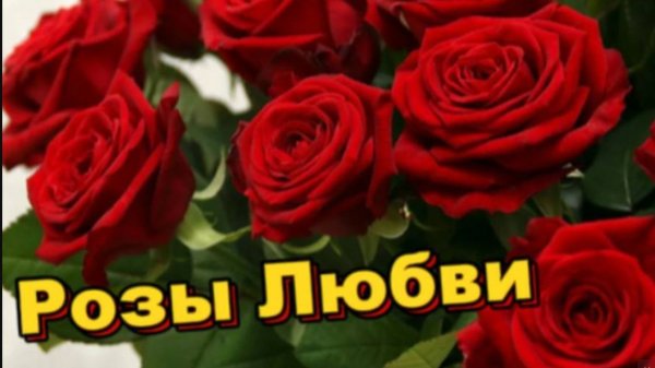 Красивое пожелание и розы для любимой!