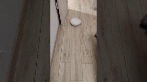 робот-пылесос из магазина чижик.