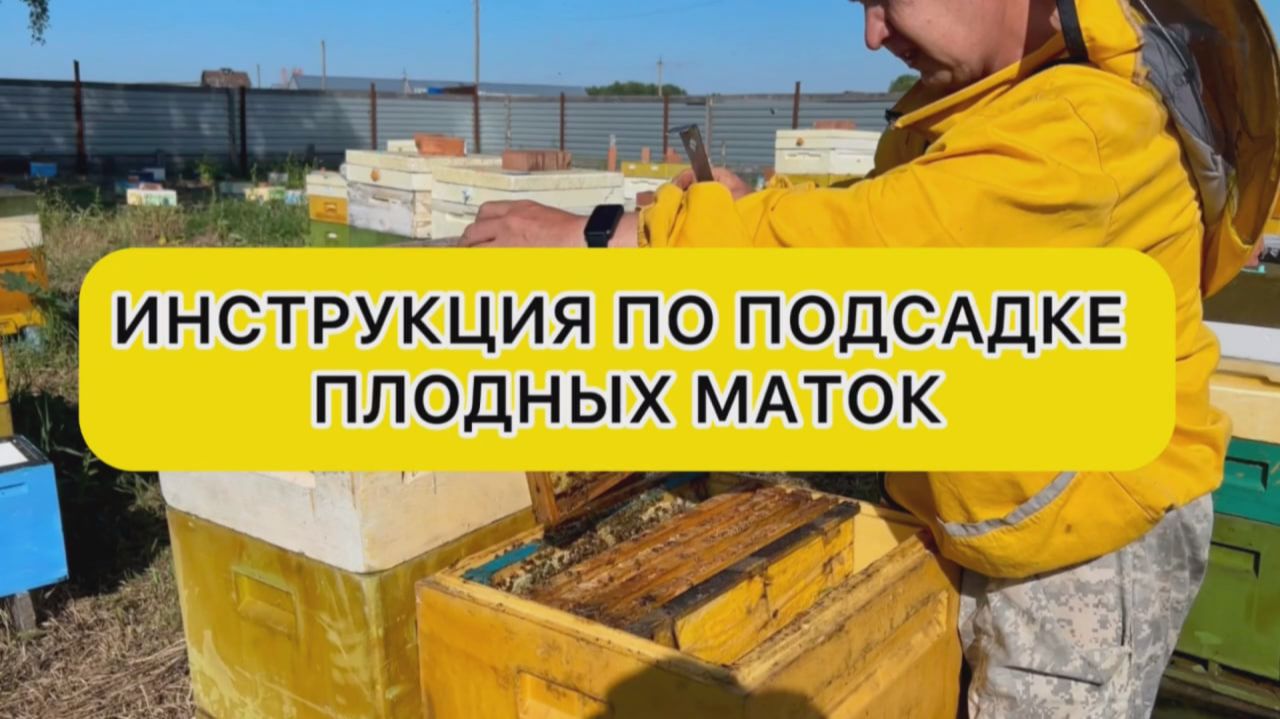 Инструкция по подсадке плодных маток смотреть онлайн