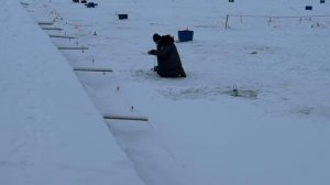 Поимки форели !!!