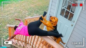 Попробуй не засмеяться 😁🤣🤣🤣