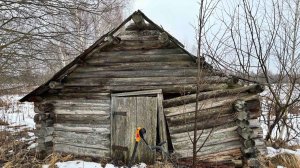 ЩУПАЕМ ЗАБЫТУЮ ИСТОРИЮ: Царские артефакты по наводке местного. ШОК!