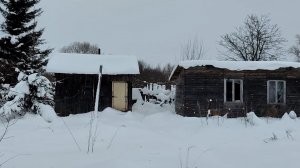 Уборка в бане / Чем кормим наших котов 🐈/ Группа в ТГ 📨