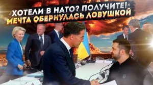 Сбывшаяся мечта Украины: НАТО без США — худший кошмар, который можно было представить