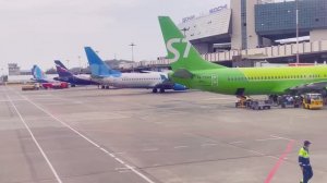 Аэропорт Сочи. Улетаю  домой. Шоппинг в аэропорту