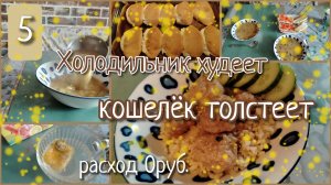 Холодильник худеет, кошелёк толстеет//день 5