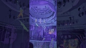 Цирк Никулина "Морозко" Грибы